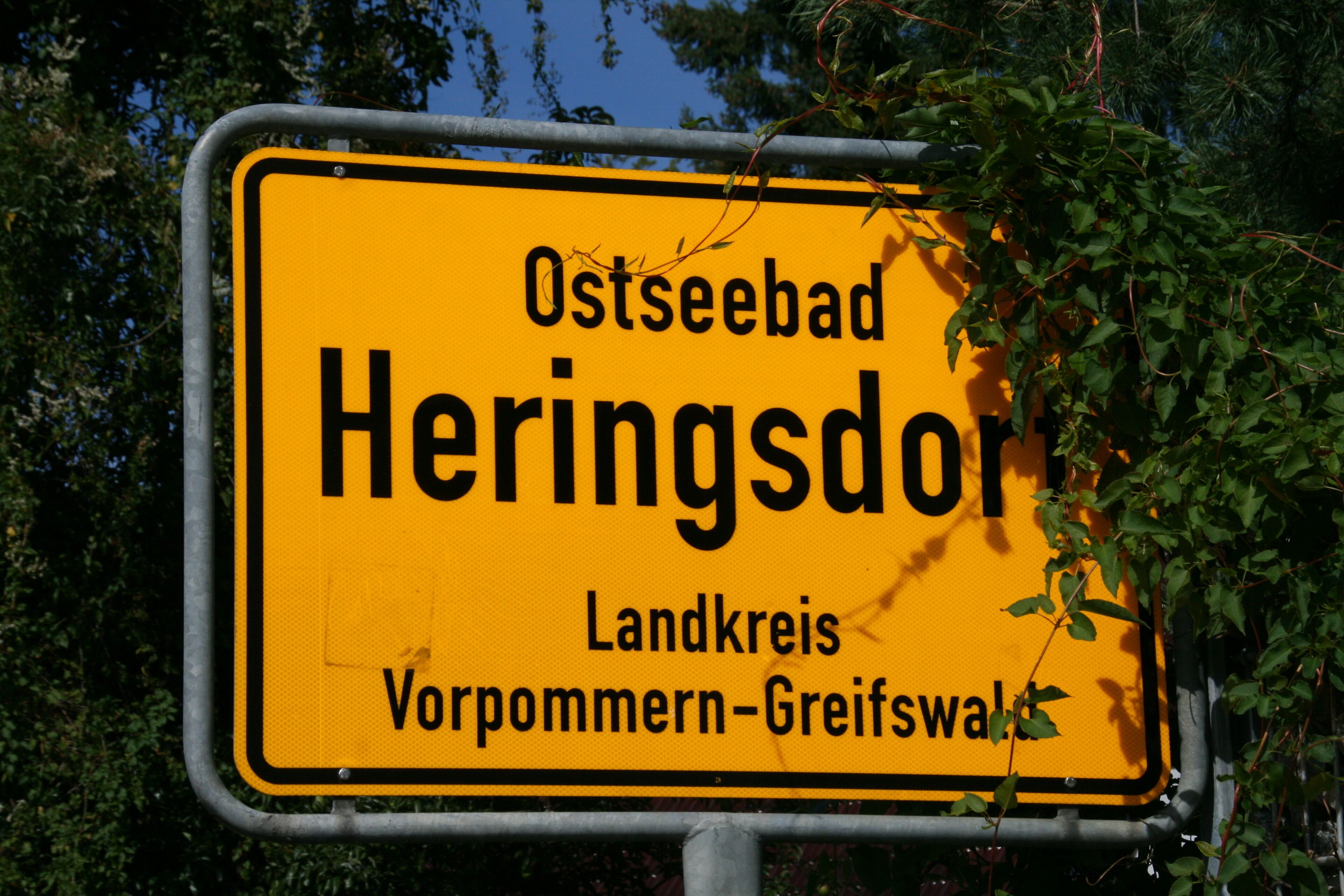 Esterni