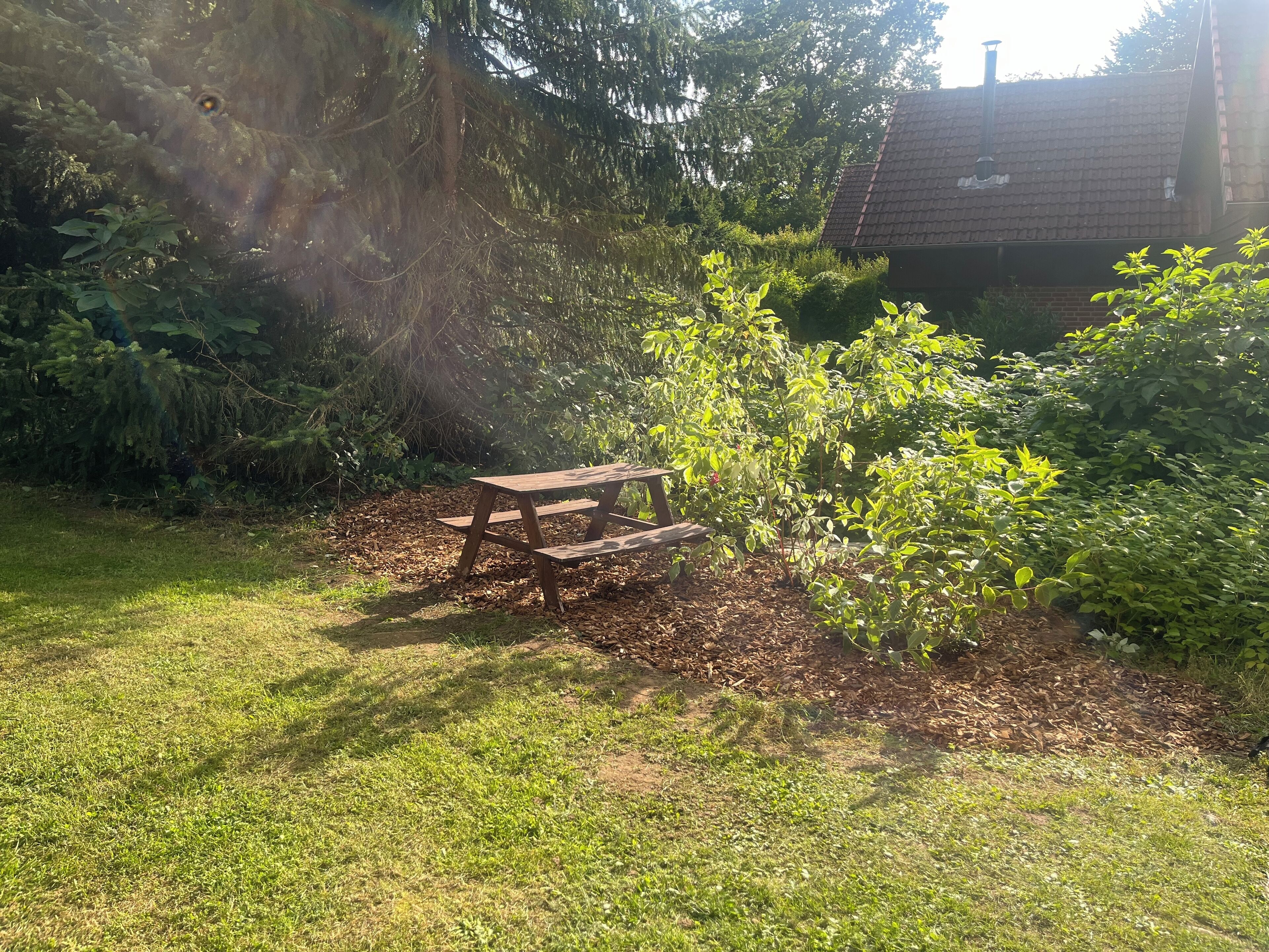 Una mesa de picnic rodeada de follaje denso y una casa al fondo.