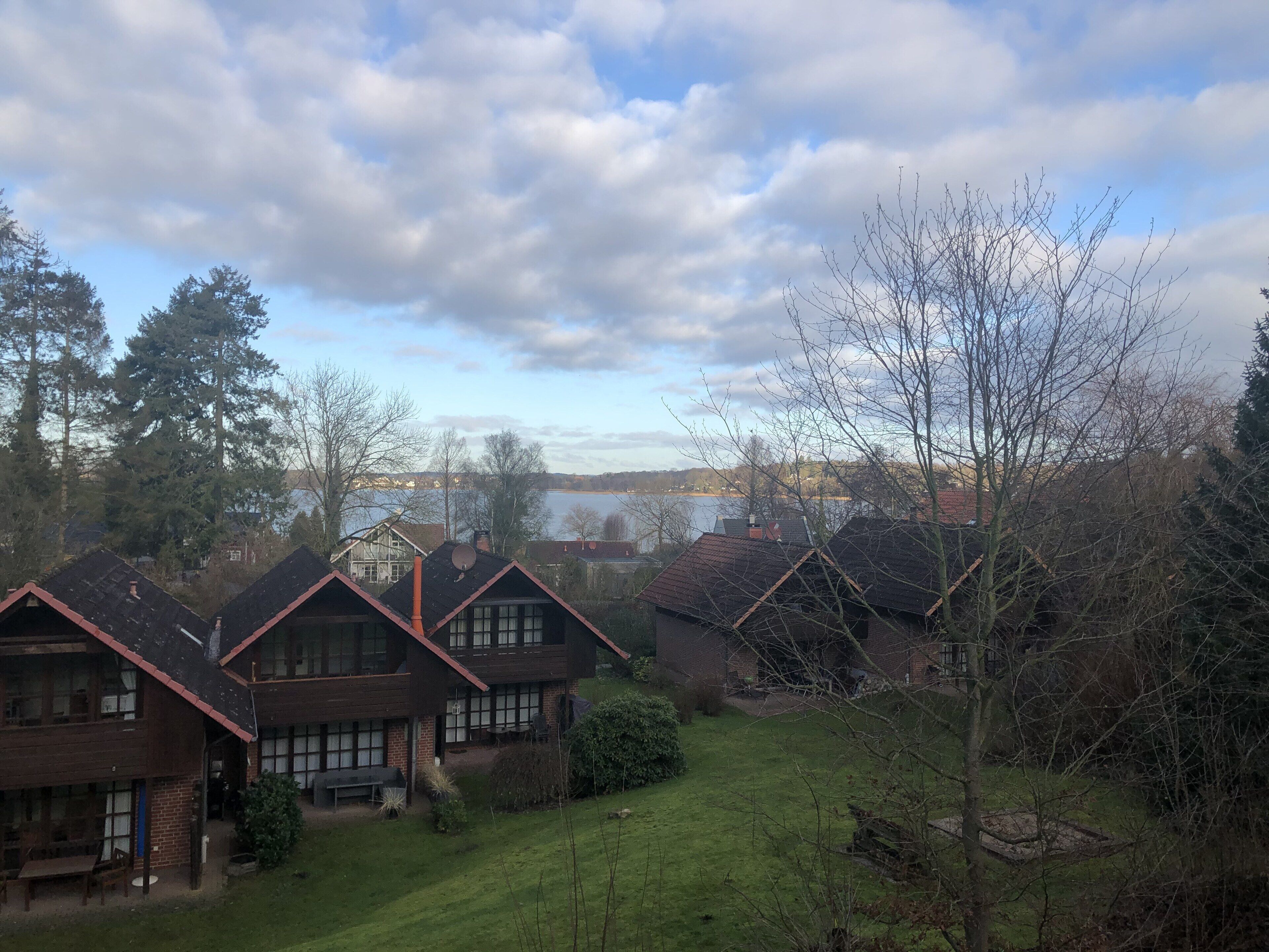 A residential area with houses, a grassy yard, and a lake in the background.