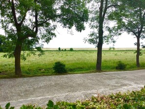 Photo non classée, 2 sur 29, bouton