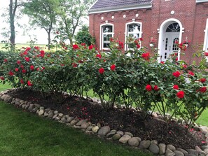 Botón de imagen sin clasificar, 5 de 29