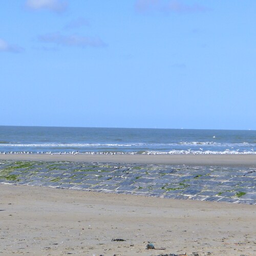 Einladendes strandnahes Komfort-Ferienhaus in ruhiger Südlage mit eig. Parkplatz