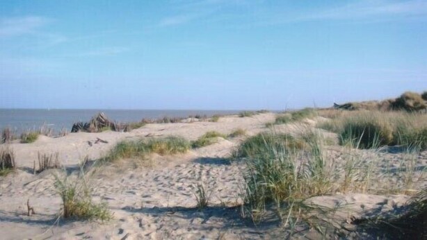 Une plage de sable avec des dunes et une végétation clairsemée.