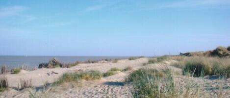 On the beach, sun-loungers