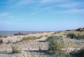 Plage, chaises longues