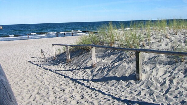Una spiaggia sabbiosa con una passerella di legno che conduce verso l'oceano, completa di ringhiera e scarsa vegetazione.