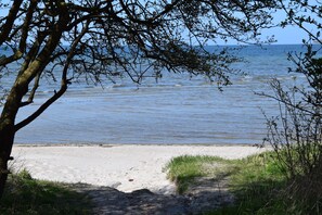 Een strand met een zandstrand, een boom op de voorgrond en een rustige zee op de achtergrond.