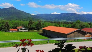 Un paysage rural avec une montagne en arrière-plan, une route bordée d’une glissière de sécurité en métal et deux bâtiments aux toits rouges.