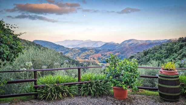 Property grounds - Splendio Rustico, nestled among olive and lemon trees, with a private pool. For Exclusive Use Only!! (Camaiore)