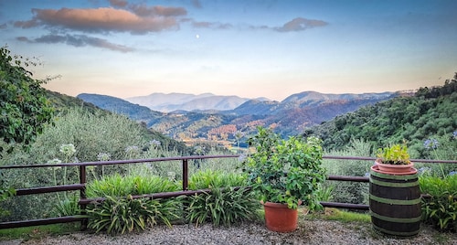 Idyllic little farm in the midst of olive and lemon trees 