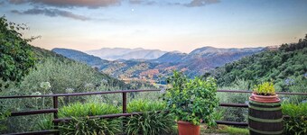 Idyllic little farm in the midst of olive and lemon trees 