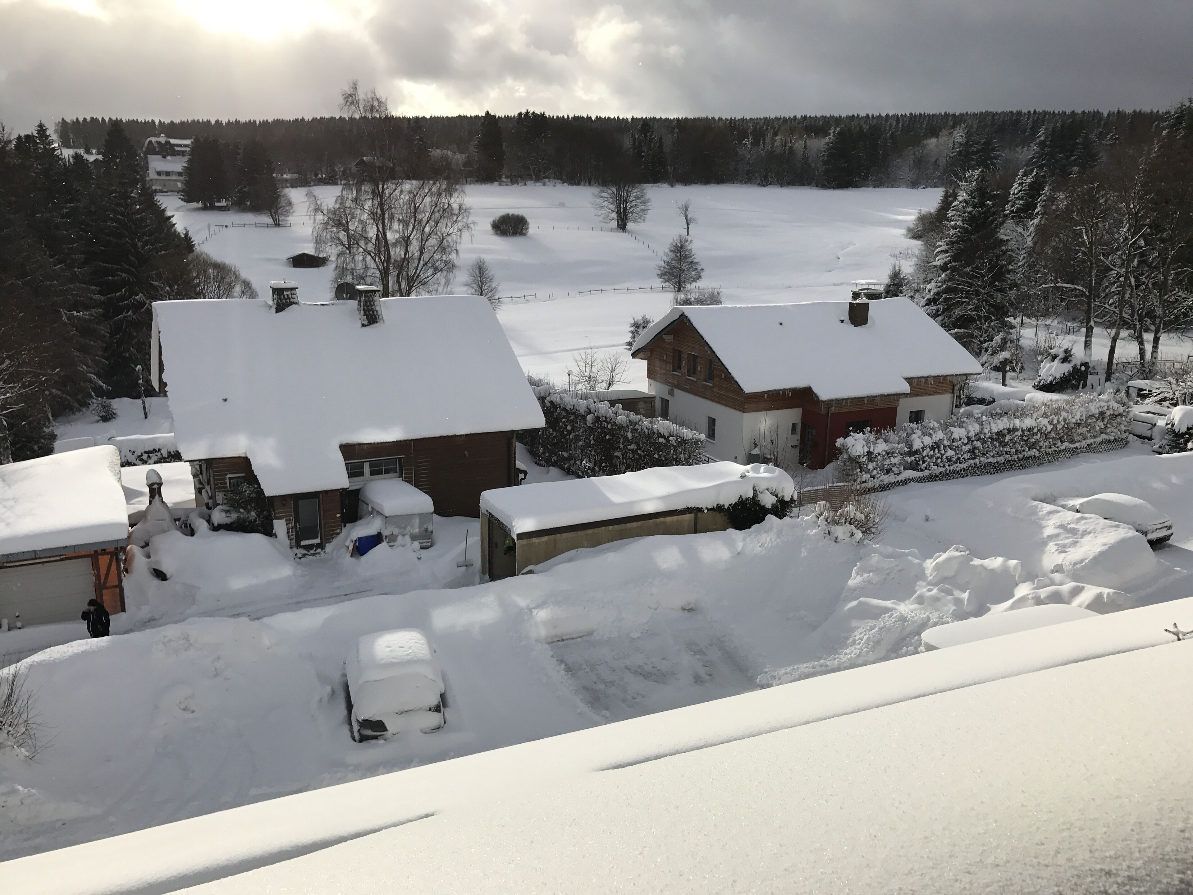 Una zona residencial con casas cubiertas de nieve, cielo despejado y un bosque al fondo.