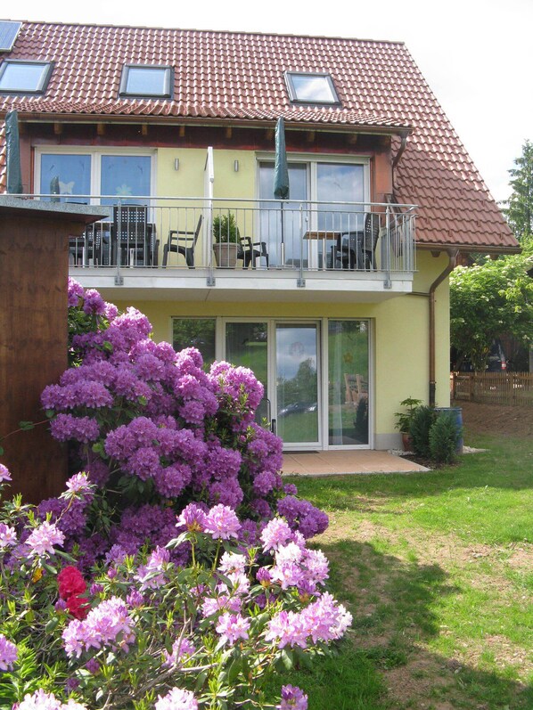 Exterior - Allergy-friendly apartments 4 stars DTV (St. Peter)