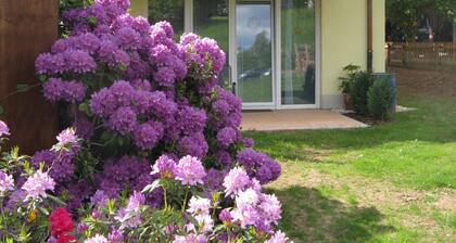 Allergiker freundliche Wohnungen 4 Sterne DTV