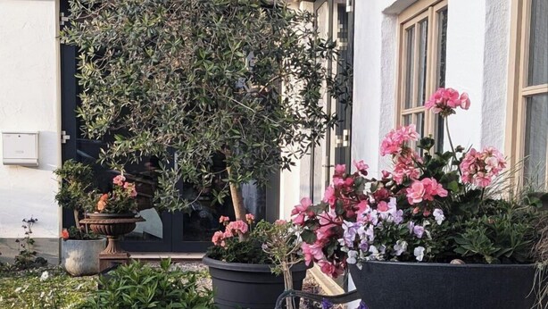 A garden with potted plants and flowers in front of a building.