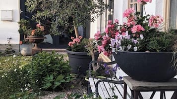 DĂ©tail de lâextĂ©rieur