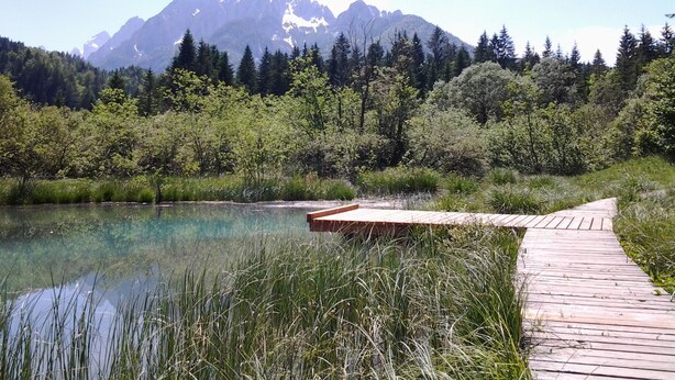 A wooden dock extending into a clear lake with a mountain in the background.