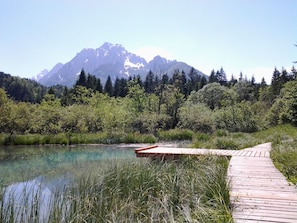 A wooden dock extending into a clear lake with a mountain in the background.