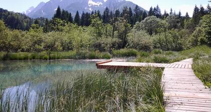 A warm welcome to us at Haus Alexandra ****… ..