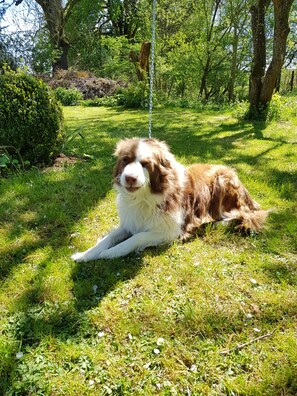 Property grounds - Holiday in 300 years old, listed mill in an idyllic location (Hofheim in Unterfranken)