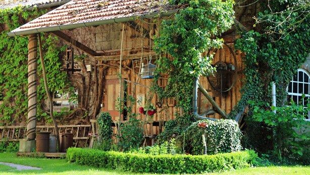 A rustic wooden building with a tiled roof, surrounded by lush greenery and a well-maintained garden. - Holiday in 300 years old, listed mill in an idyllic location (Hofheim in Unterfranken)