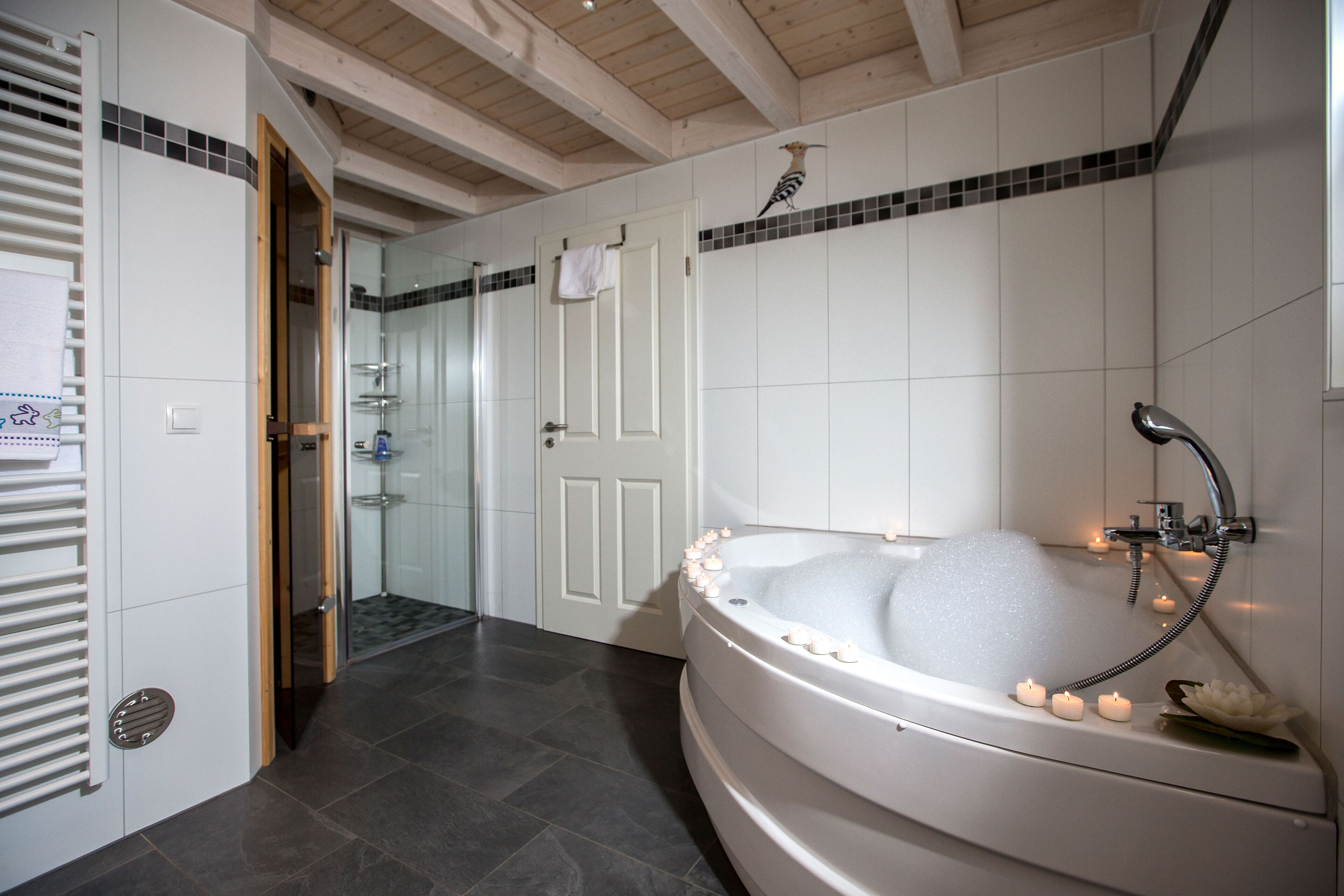 Baignoire, baignoire à remous, séchoir à cheveux