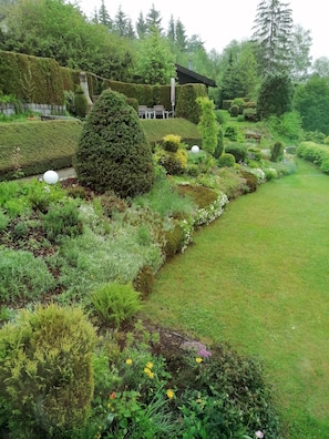 Un jardín bien cuidado con diversas plantas y césped.