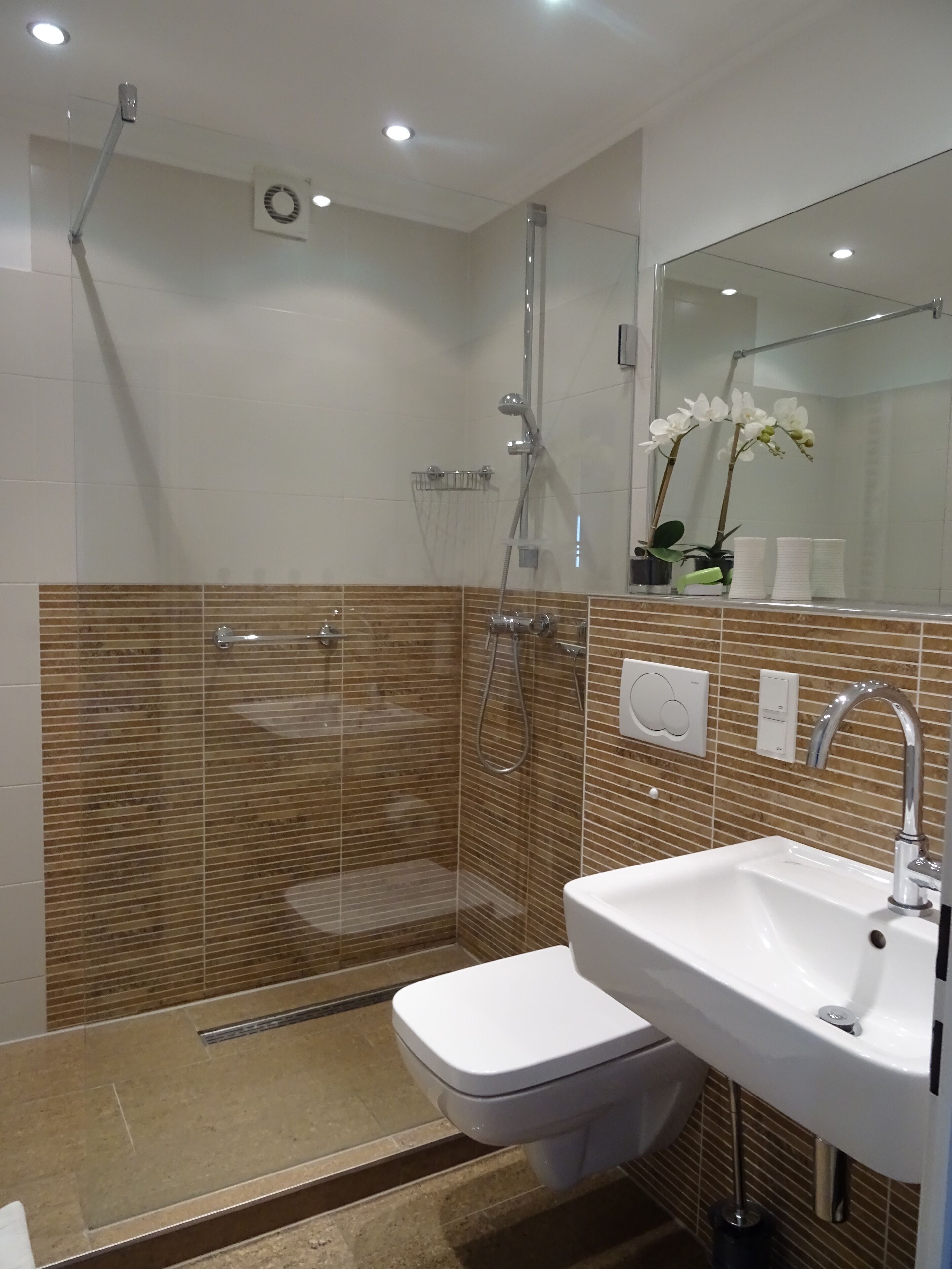 Dusche, Haartrockner, Seife, Toilettenpapier