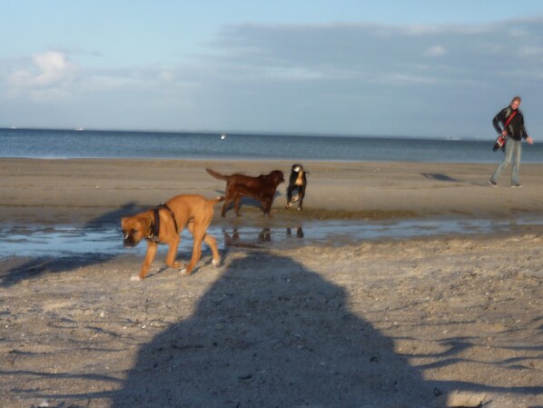 På stranden