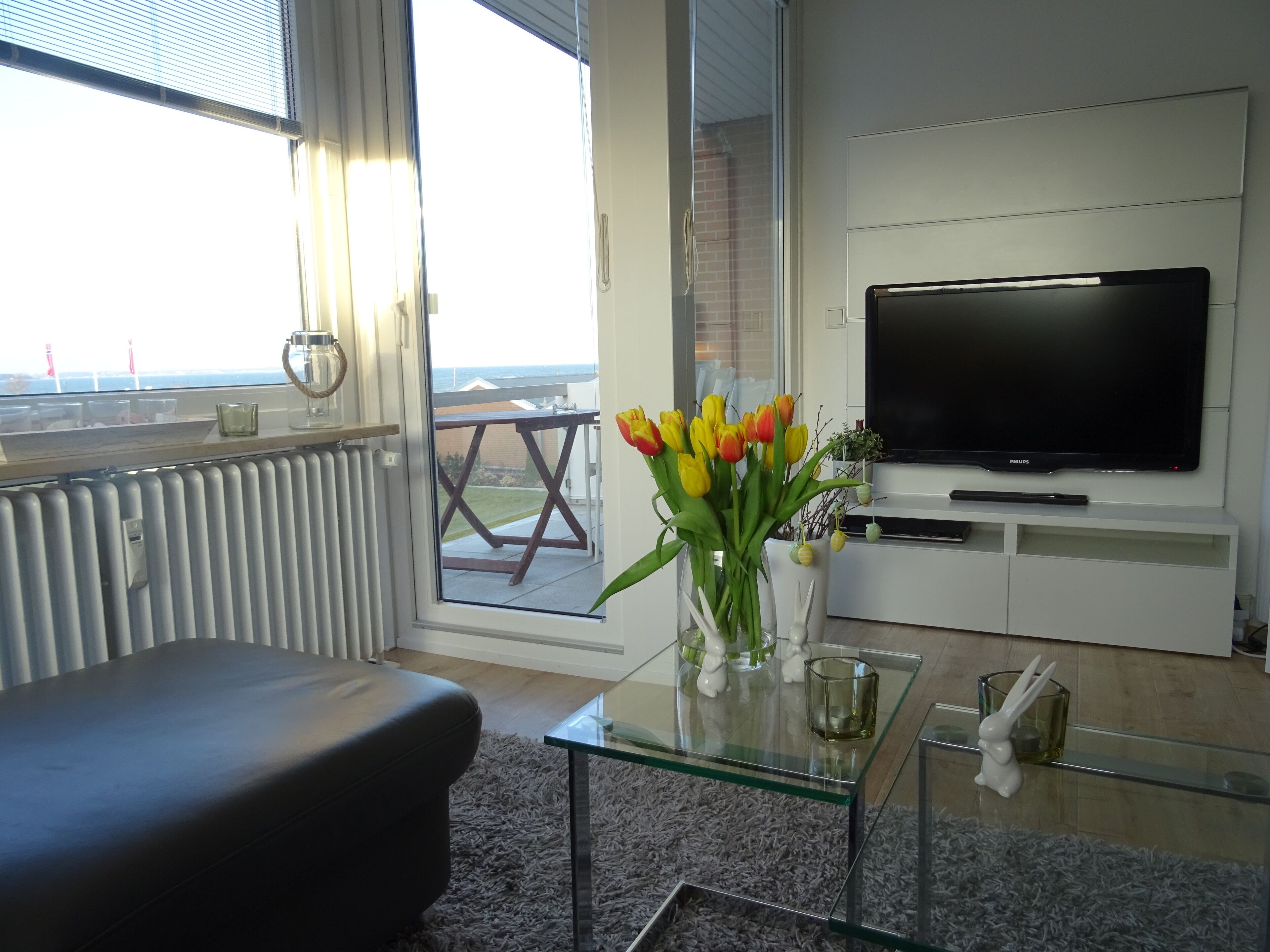 Tv, dvd-spelare, ett bordtennisbord och böcker