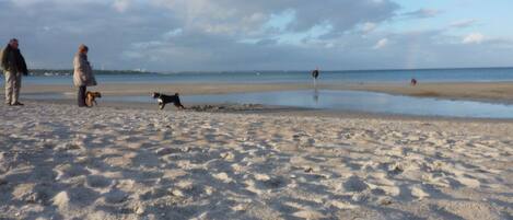 På stranden
