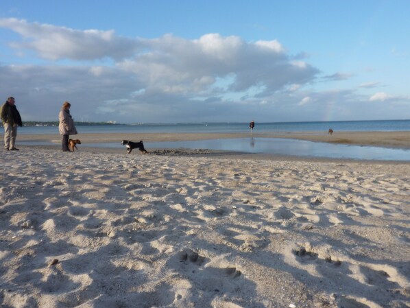 Accommodatie ligt op het strand