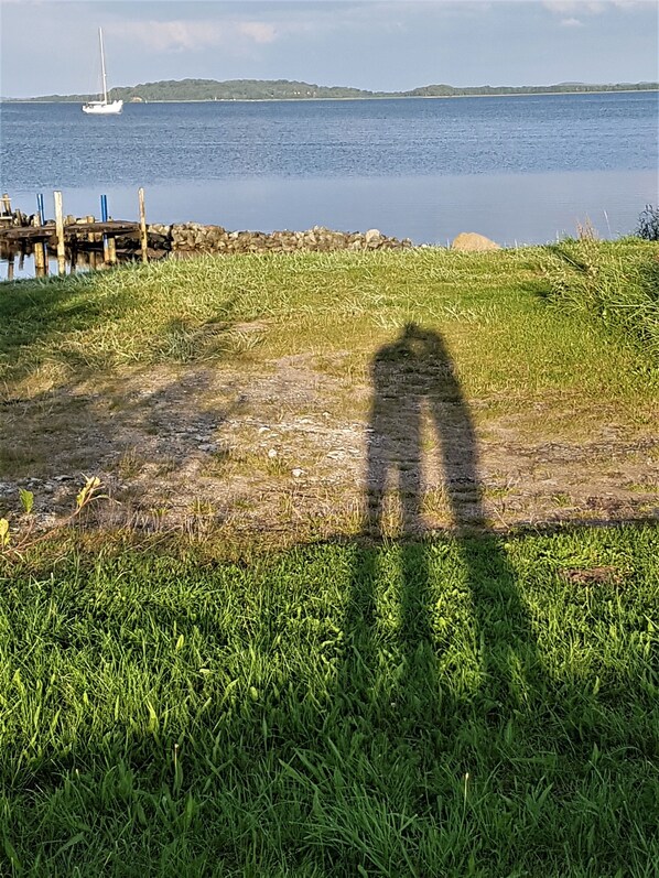 A grassy area with a shadow of a person, a dock, and a sailboat on the water. - Holiday house thatched with reed in natural reserve area with garden and terrace (Putbus - Wreechen)