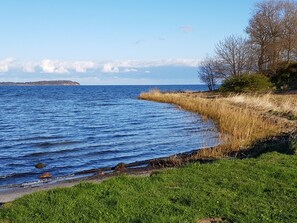 A coastal landscape with a grassy shoreline, a body of water, and a distant landmass. - Holiday house thatched with reed in natural reserve area with garden and terrace (Putbus - Wreechen)