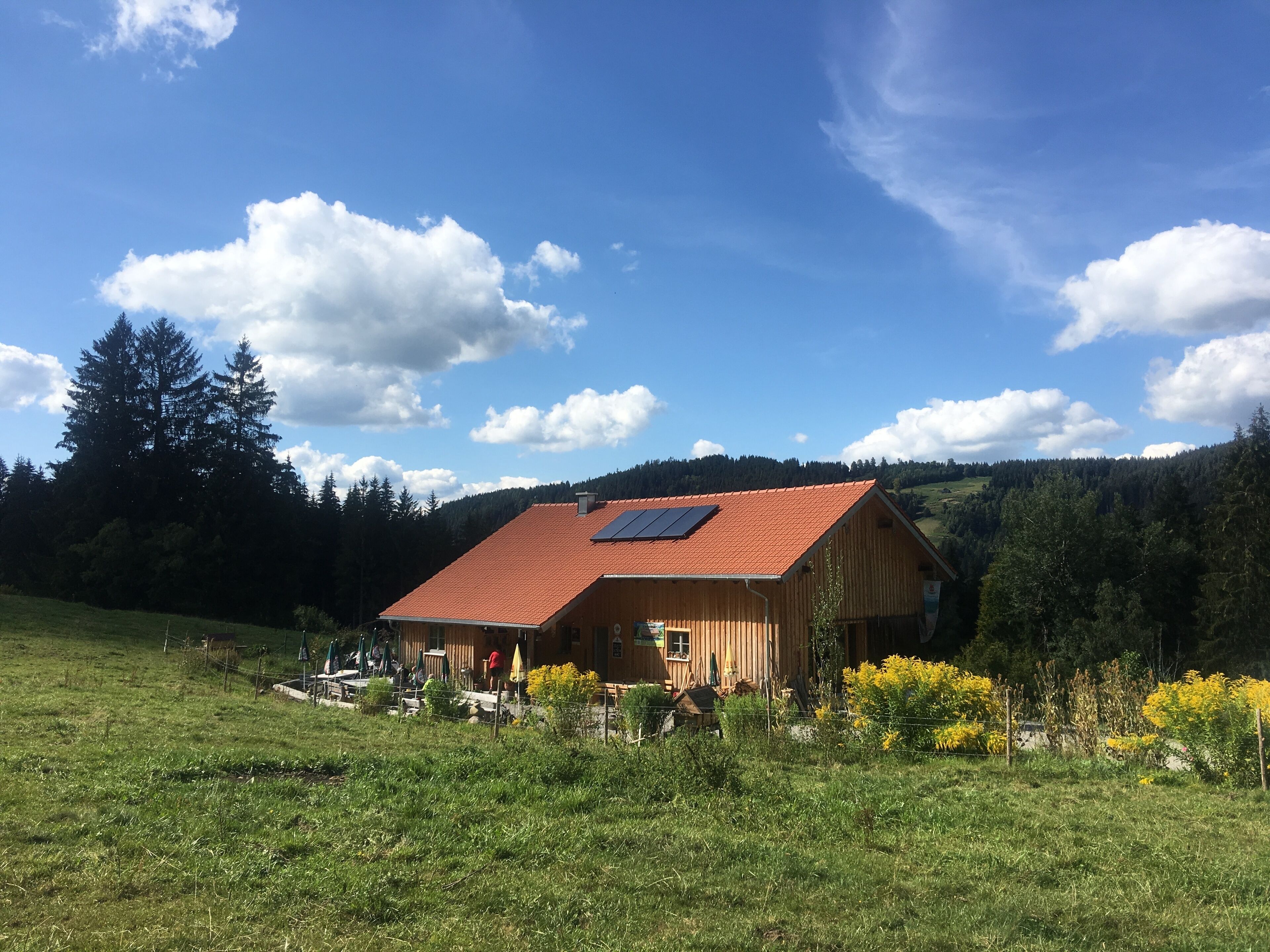 Frommknechts Bio-Alpe in Weitnau 
In der Nähe gibt es viele Hütten zum einkehren