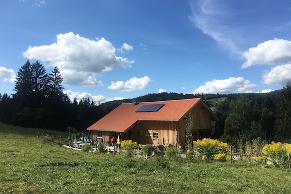 Frommknechts Bio-Alpe in Weitnau
In der Nähe gibt es viele Hütten zum einkehren