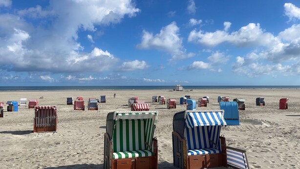 Une plage bordée de rangées de chaises de plage et de parasols à rayures.