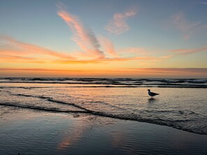 Beach nearby, beach towels