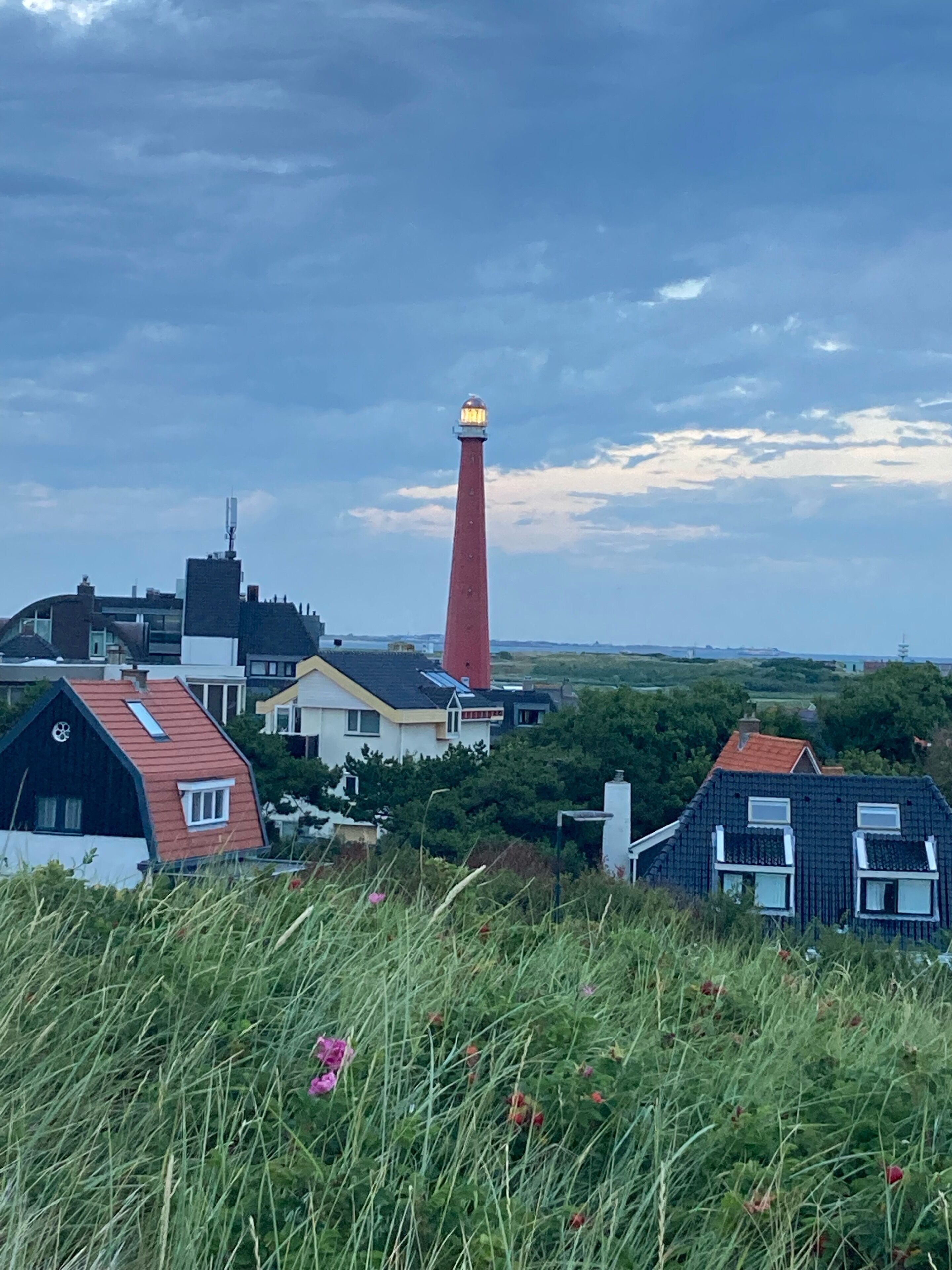 A coastal town with a prominent red lighthouse, houses with red roofs, and a grassy foreground.
