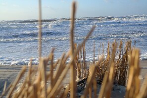 Una playa con olas y algas marinas al frente.