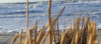 Ground floor apartment with south-facing terrace 100 m from the beach