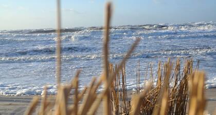 Ground floor apartment with south-facing terrace 100 m from the beach