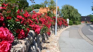 Un mur de pierres avec des fleurs rouges, un ciel dégagé et une route avec une maison en arrière-plan.