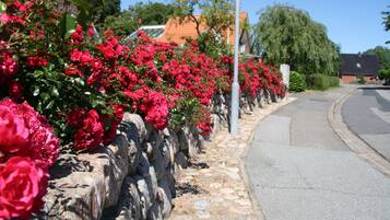 Área da propriedade