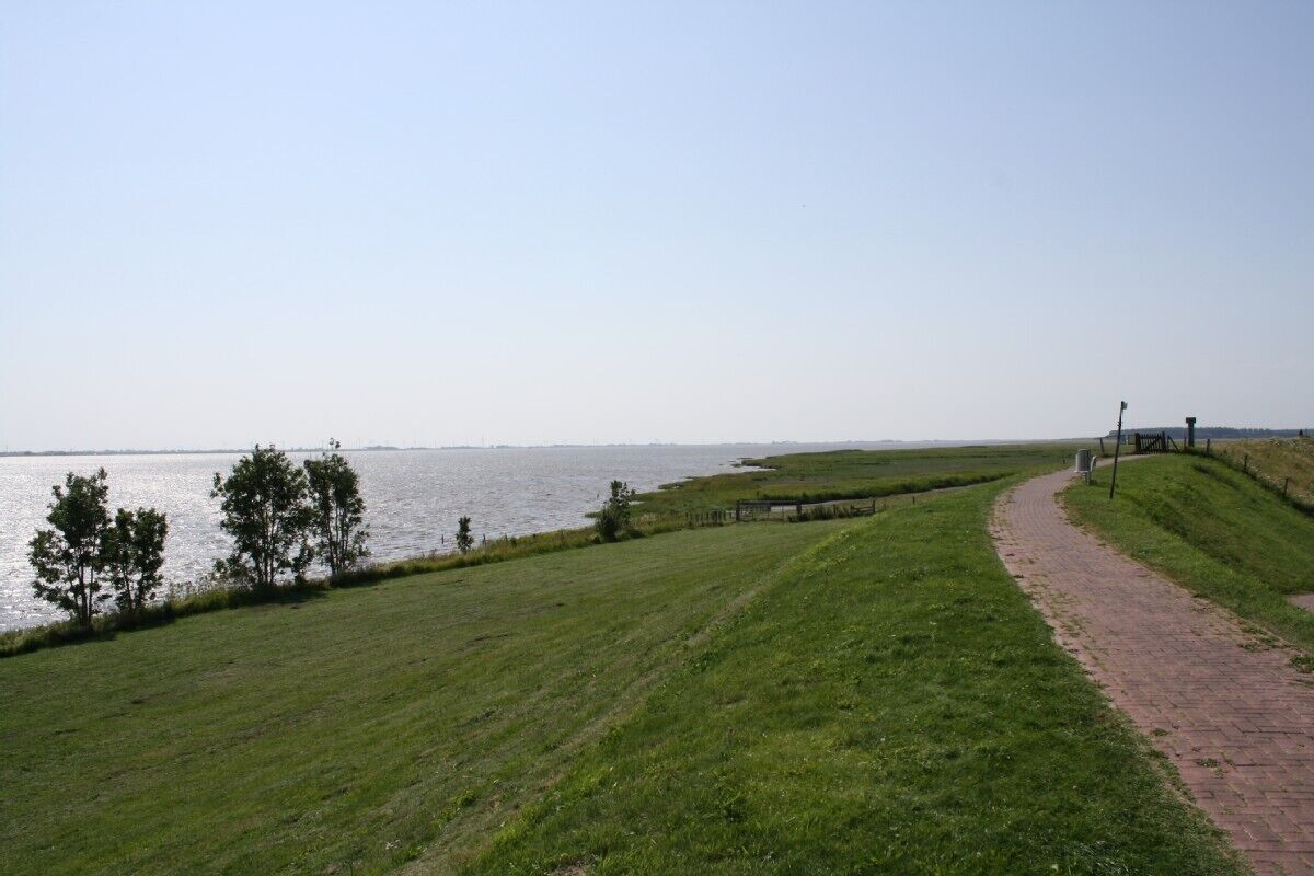 A grassy area with a paved path leading to a body of water.