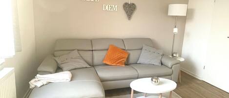 Smart-TV, DVD-Player, Bücher, Stereoanlage