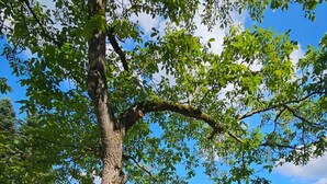 A park with a swing set, picnic tables, and a clear view of the surrounding landscape. - Holiday house for 6 - 7 persons (Rothenberg)
