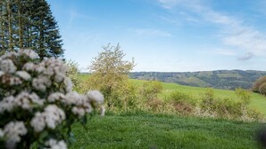 A rural landscape with a grassy field, trees, and hills in the distance. - Holiday house for 6 - 7 persons (Rothenberg)