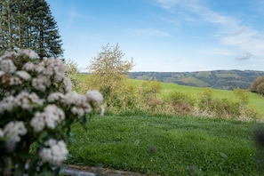 A rural landscape with a grassy field, trees, and hills in the distance.