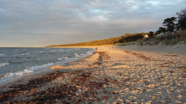 Playa en los alrededores